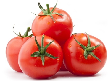 Tomaten frisch