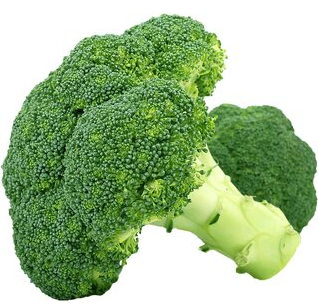Broccoli Frisch